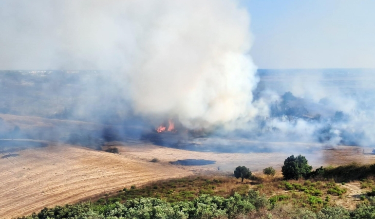 Zeytinlikteki yangın büyümeden söndürüldü