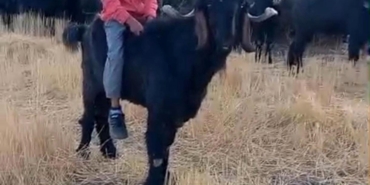 Keçiye binip köy yaşamını anlattı