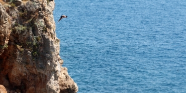 Sıcak havada deniz keyfi, falezlerde tehlikeli atlayış