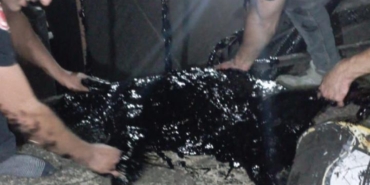 Zift kazanına düşen köpek öldü