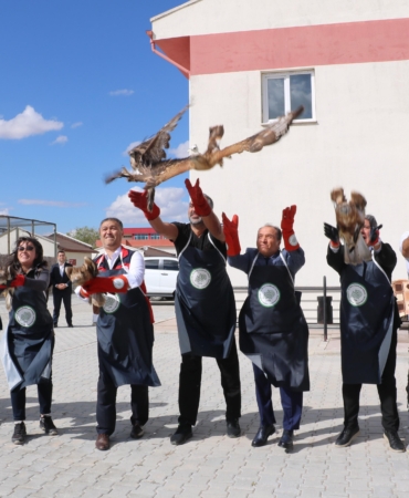 Tedavi ve rehabilitasyonu tamamlanan 27 kuş doğaya salındı