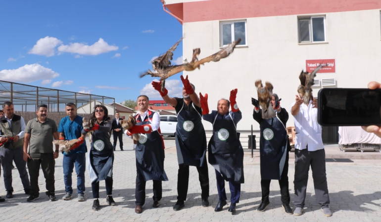 Tedavi ve rehabilitasyonu tamamlanan 27 kuş doğaya salındı