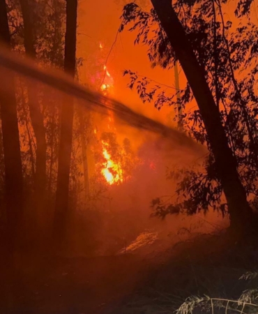 Antalya’daki sazlık yangını 2,5 saatte söndürüldü (2)