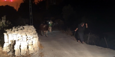 Antalya’da orman yangını (2)