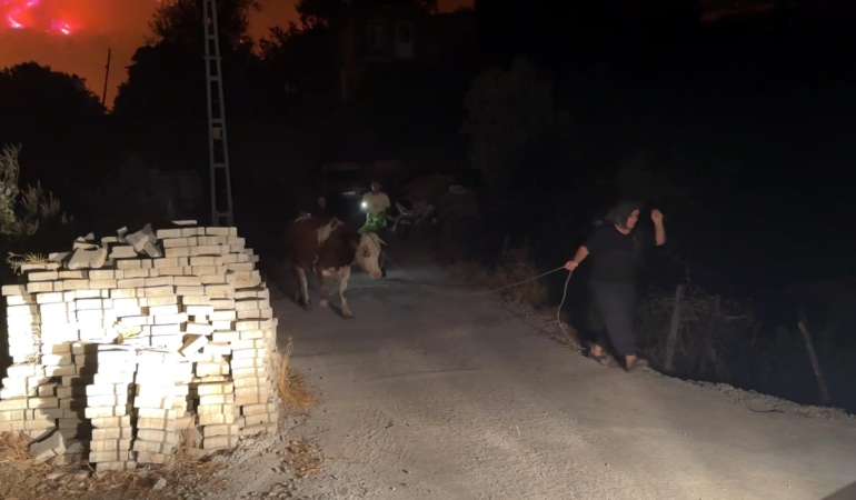 Antalya’da orman yangını (2)