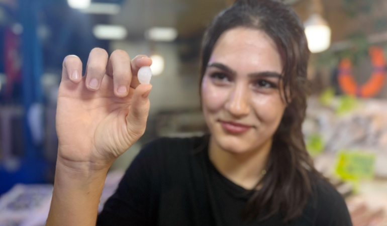 Balık 650, başındaki taş 10 bin lira