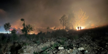 Yangın ormana sıçramadan söndürüldü