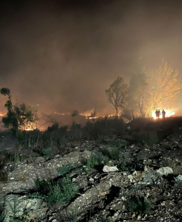 Yangın ormana sıçramadan söndürüldü