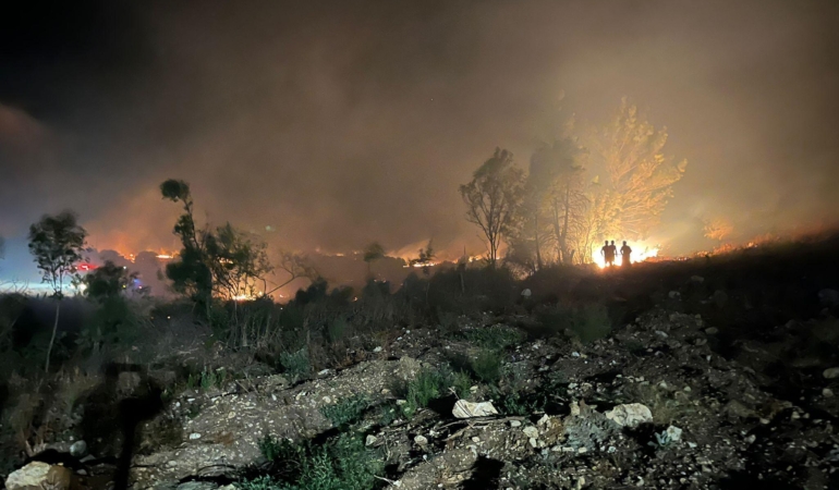 Yangın ormana sıçramadan söndürüldü