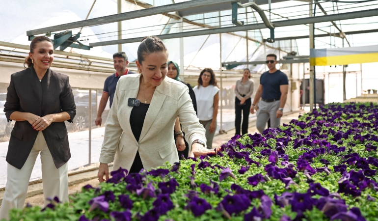 Başkan Vekili Özdemir bitki üretim tesisini gezdi