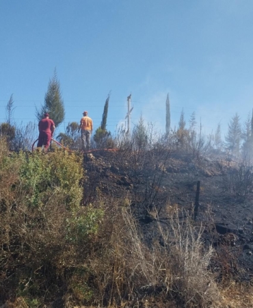 Manavgat’ta orman yangını söndürüldü