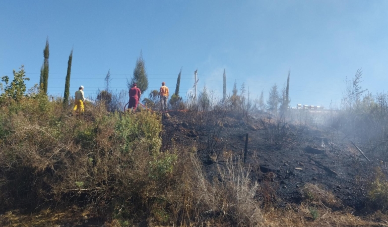 Manavgat’ta orman yangını söndürüldü