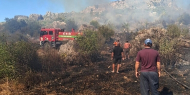 Serik’te makilik ve zeytinlik yangını