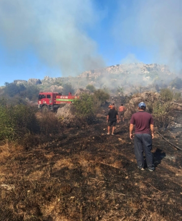 Serik’te makilik ve zeytinlik yangını
