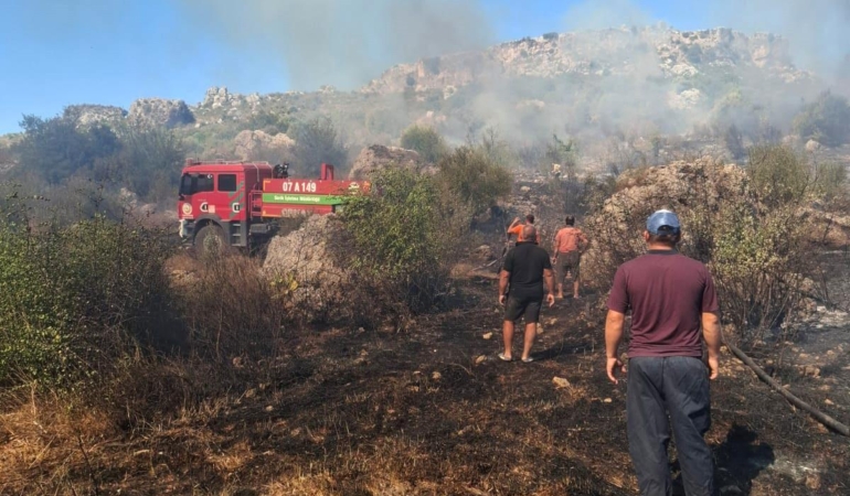 Serik’te makilik ve zeytinlik yangını