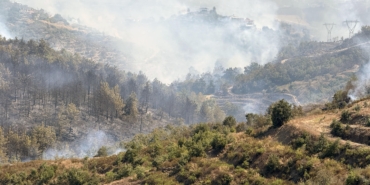 Alanya’daki orman yangınında 2’nci gün (4)