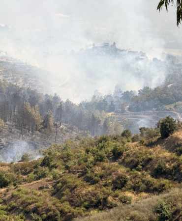 Alanya’daki orman yangınında 2’nci gün (4)