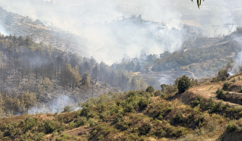 Alanya’daki orman yangınında 2’nci gün (4)