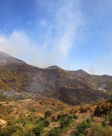 Alanya’daki orman yangınında 2’nci gün (5)
