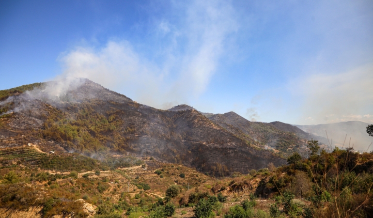 Alanya’daki orman yangınında 2’nci gün (5)
