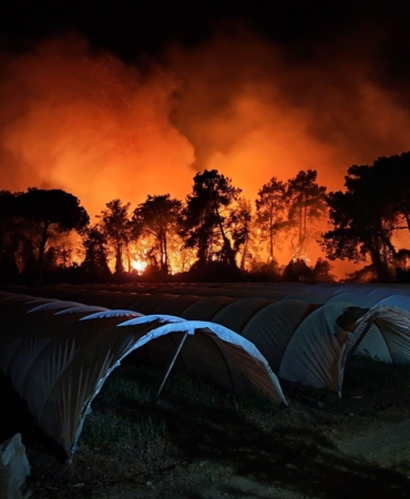 Antalya’da orman yangını; 2 otel tahliye edildi