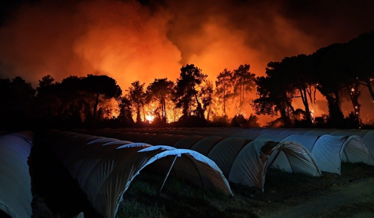 Antalya’da orman yangını; 2 otel tahliye edildi
