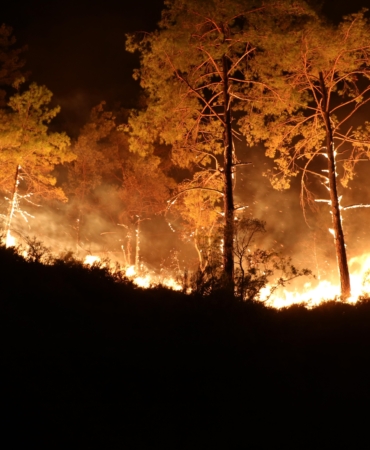 Alanya’daki orman yangınında 3’üncü gün