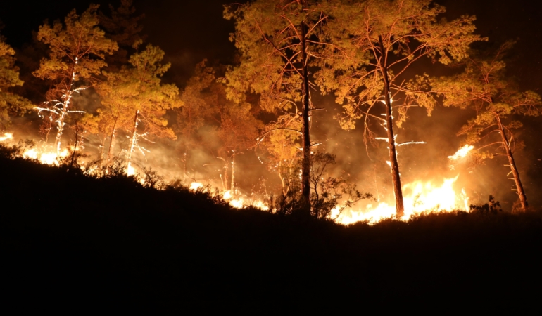 Alanya’daki orman yangınında 3’üncü gün