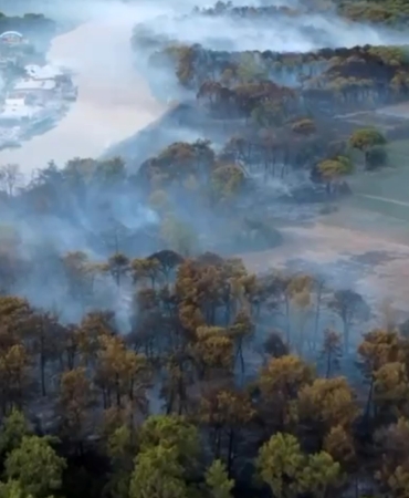 Yangının boyutu gündüz ortaya çıktı, bölgeyi yoğun duman kapladı