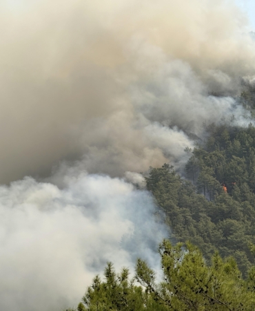 Alanya’daki orman yangınında 3’üncü gün (2)