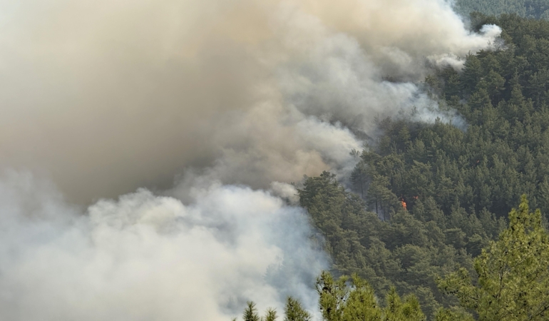 Alanya’daki orman yangınında 3’üncü gün (2)