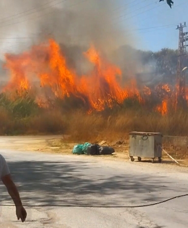 Sazlık yangınına hortum ve yangın tüpleriyle müdahale ettiler