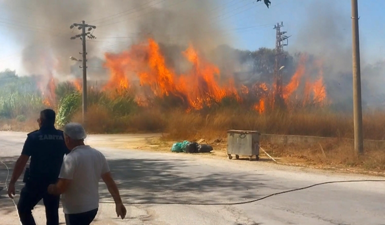 Sazlık yangınına hortum ve yangın tüpleriyle müdahale ettiler