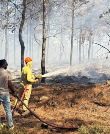 Antalya’da orman yangını, hızlı müdahale ile büyümeden kontrol altına alındı
