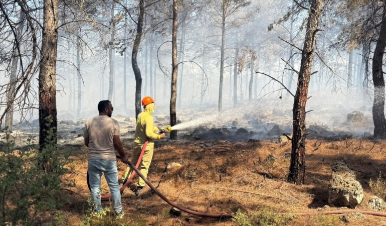 Antalya’da orman yangını, hızlı müdahale ile büyümeden kontrol altına alındı