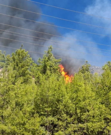 Serik’te orman yangını