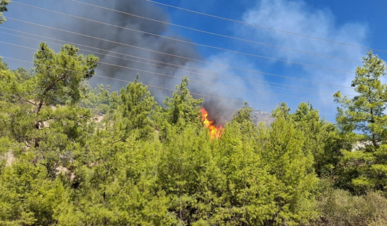 Serik’te orman yangını