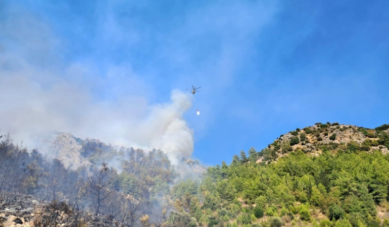 Serik’te orman yangını (2)