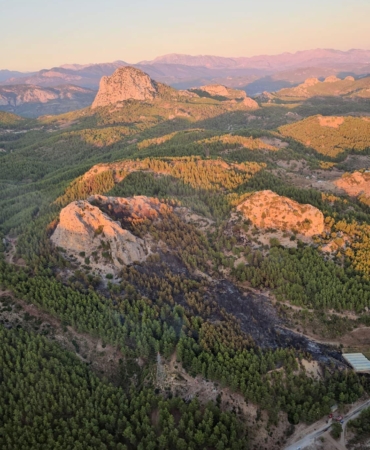 Serik’teki orman yangınına ilişkin 1 gözaltı