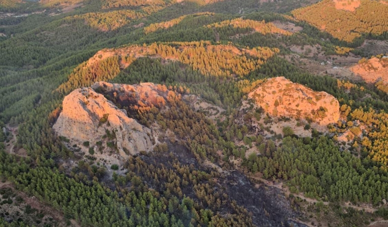 Serik’teki orman yangınına ilişkin 1 gözaltı