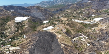 Antalya’daki orman yangınlarında 1350 hektar alan zarar gördü
