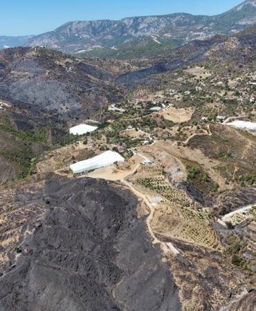 Antalya’daki orman yangınlarında 1350 hektar alan zarar gördü