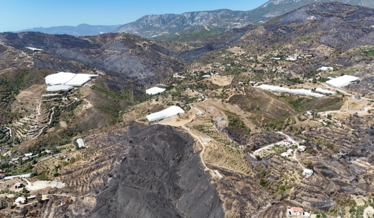 Antalya’daki orman yangınlarında 1350 hektar alan zarar gördü