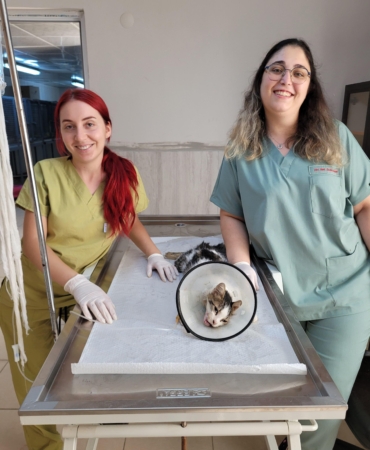 Alanya Belediyesi’nden başarılı çene ameliyatı