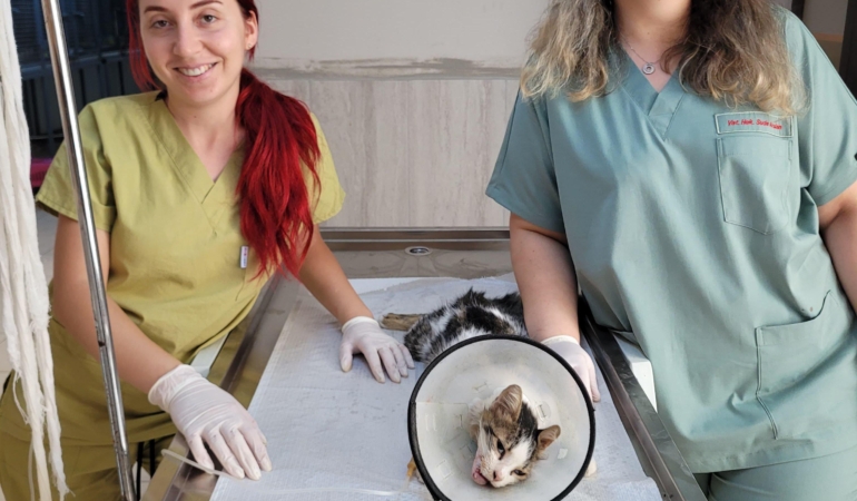 Alanya Belediyesi’nden başarılı çene ameliyatı