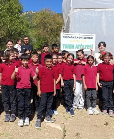 Öğrenciler seraya marul dikti