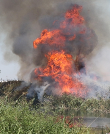 Antalya’da yangın; kano ve tekneden hortumla su sıkıp söndürmeye çalıştılar