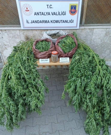 Korkuteli’de uyuşturucu operasyonu