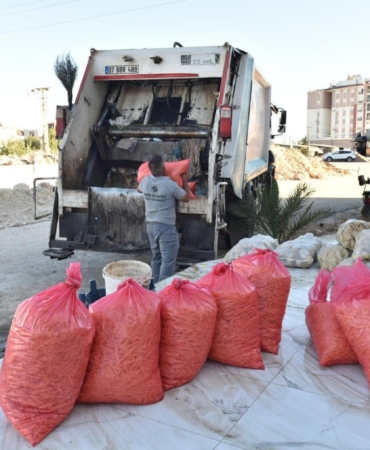 Kepez’de 1,5 ton patates imha edildi