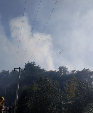 Antalya’da orman yangını kontrol altına alındı, 10 hektar alan zarar gördü (2)